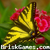 Beautiful Butterfly Jigsaw Icon