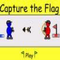 Capture The Flag Icon