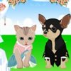 Cat And Dog Wedding Dress Up Icon