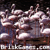 Flamingo Jigsaw Icon