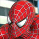 Spider Man 2 Web of Words Icon