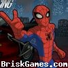 SpiderBike Racing Icon